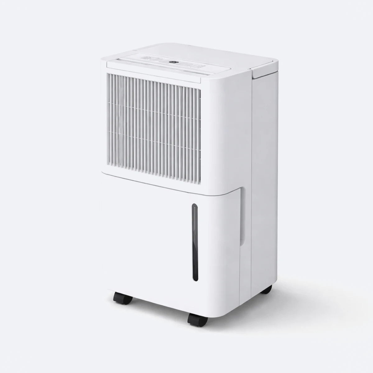 Portable Dehumidifiers for House