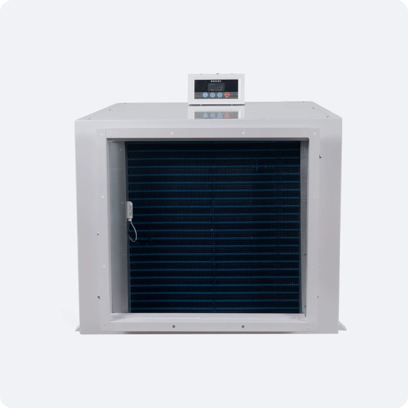 Commercial Dehumidifiers for Dust Mites
