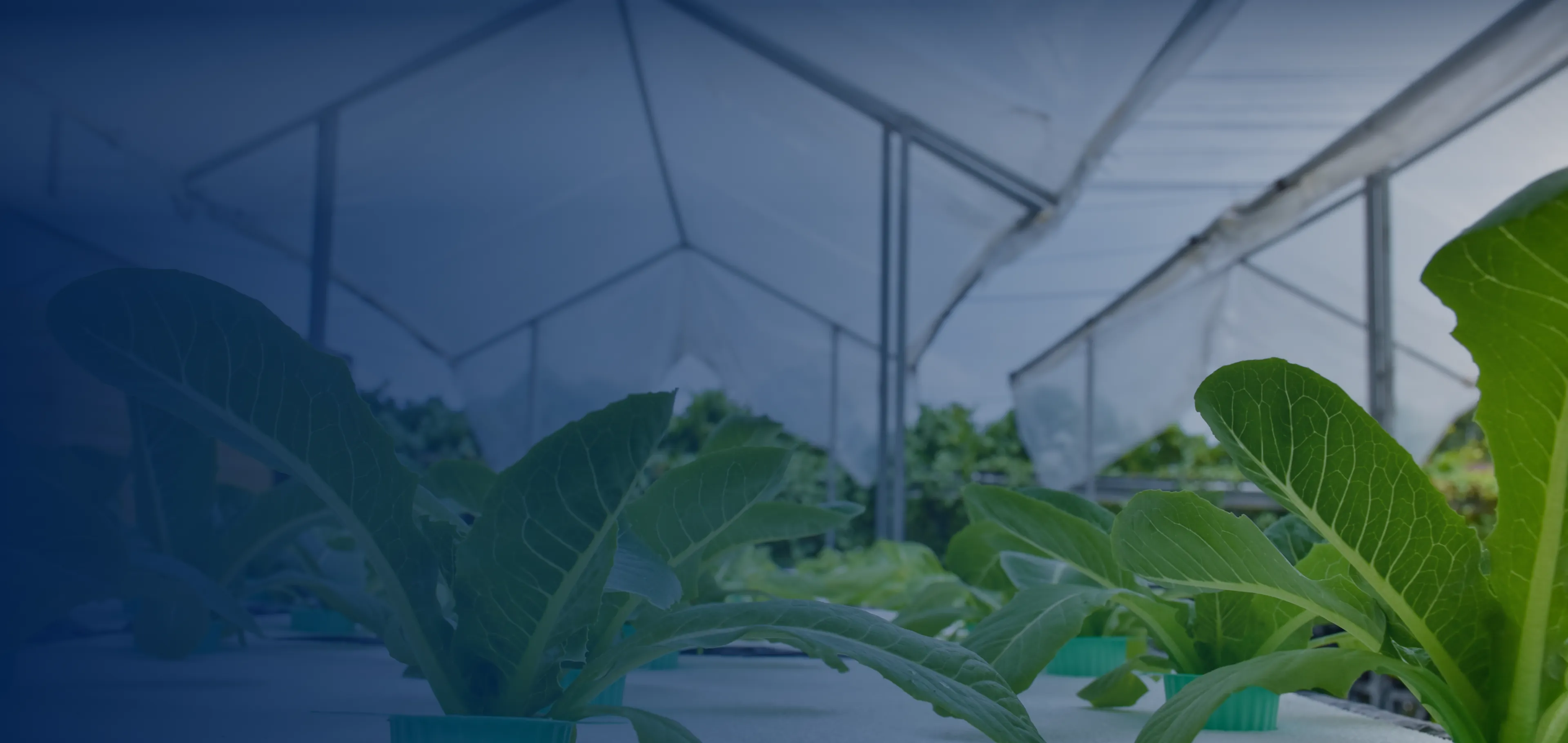 Greenhouse Dehumidifier — Commercial and Industrial Humidity Control Systems for Greenhouses, Nurseries, and Grow Facilities