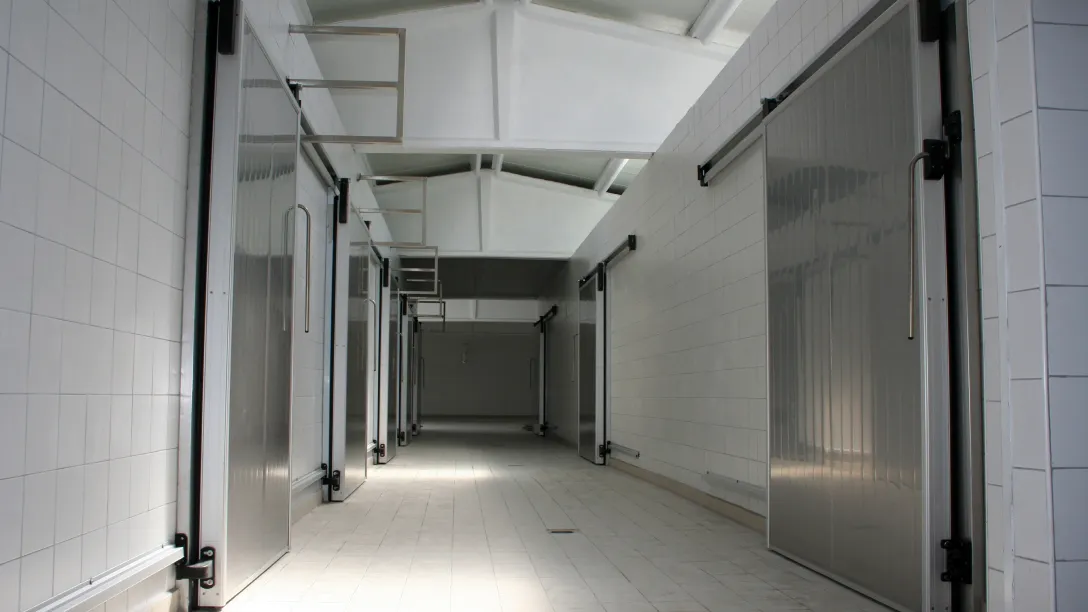 Cold Storage Dehumidification: How to Eliminate Frost, Ice, and Fog in Freezer Warehouses