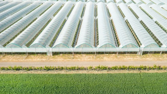 Commercial Greenhouse Dehumidifier: VPD Control and Moisture Management