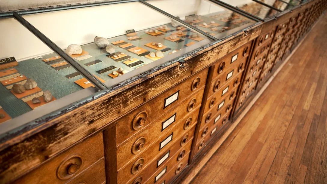 Preserving Archives and Artifacts: The Physics of Museum Climate Control
